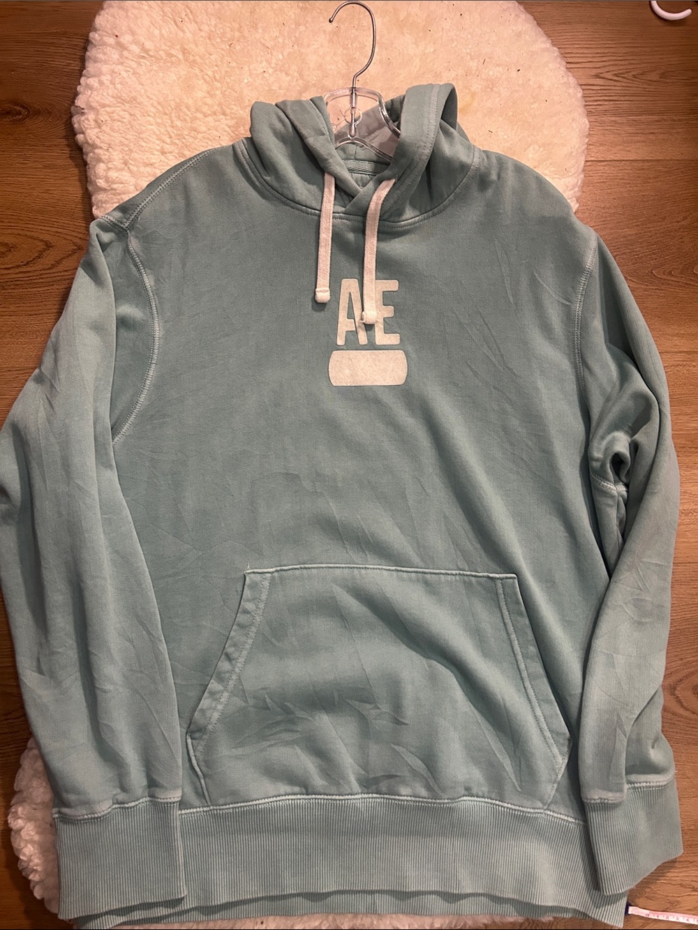 American Eagle Outfitters Seafoam Green Pullover Hoodie - Men 25.5”Ptp